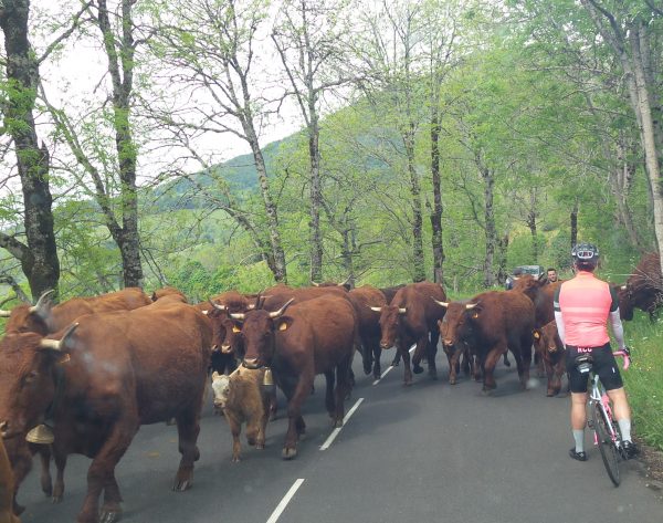 cycling challenges mountains europe