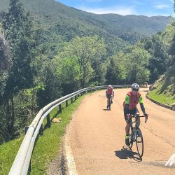 Cyclists climbing in the sun on full support guided road cycling tour of Sardinia with Marmot Tours