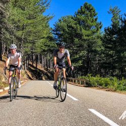 Pair of cyclist enjoying sunny tree lined ride on Marmot Tours supported cycling holiday in Corsica