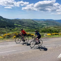 Pair of cyclists enjoying open moorland with yellow broom on guided cycling tour of Cevennes and Ardeche France Marmot Tours