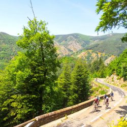 Group of cyclists riding in sunshine on guided road cycling holiday in south of France Cevennes and Ardeche Marmot Tours