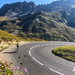 Cyclist enjoying sunny climb with pretty alpine flowers on mountainsideon Marmot Tours Raid Alpine cycling challenge French Alps