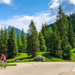 Female cyclist climbing through forest on Marmot Tours full support road cycling holiday Dolomites Italy