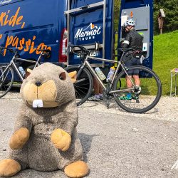 Group of cyclists enjoying snacks with Marmot cuddly mascot from Marmot Tours support vehicle on guided road cycling holiday Dolomites Italy