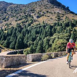 Cyclist climbing and smiling on Marmot Tour group road cycling holiday Andalusia Spain