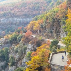 Cyclists hugging balcony road surrounded by autumnal trees on Marmot Tours guided road cycling tour Mont Ventoux Provence