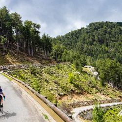 Cyclist enjoying tough forested climb on Raid Corsica with Marmot Tours