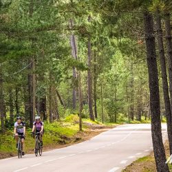 Pair of cyclist enjoying ride through forest on Raid Corsica with Marmot Tours