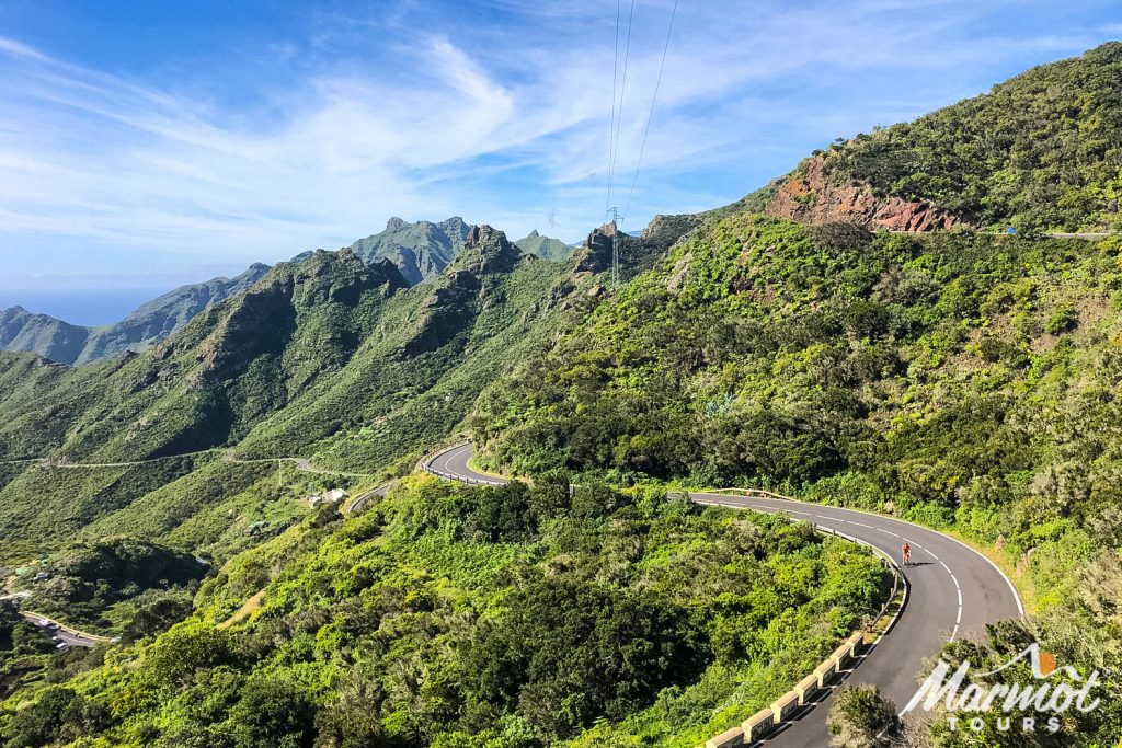 Cyclist enjoying lush green climb through vegetation on Marmot Tours guided road cycling tour Tenerife