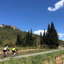 Pair of cyclist riding through vineyard with Marmot Tours