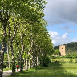 Cyclist riding through avenue of trees with chateau on Marmot Tours guided cycling holiday Foothills Pyrenees