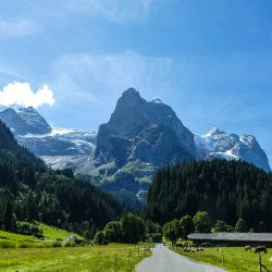 Grosse Scheidegg cycling climb and mountainous peaks and glacier in Swiss Alps with Marmot Tours guided road cycling holidays