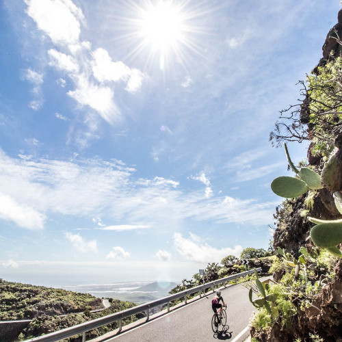 Cyclist climbing I full sun alongside cacti on guided road cycling tour Gran Canaria with Marmot Tours