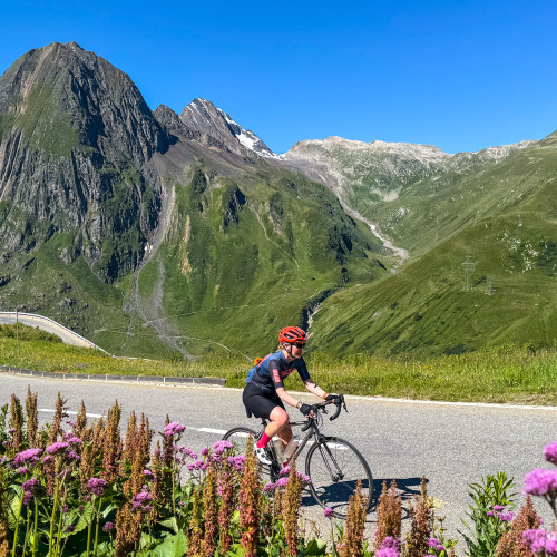 cyclist climbing nufenen pass Swiss alps with north face of the Eiger backdrop and purple flowers foreground on marmot tours cycling holiday