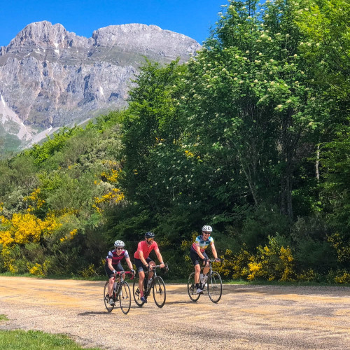 three cyclists enjoying sunny climb with pico mountains backdrop and yellow broom roadside foliage on marmot tours guided road cycling tour asturias northern Spain