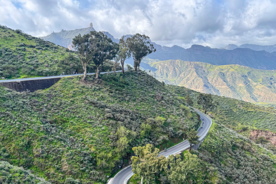 cyclists climb forested slopes on mountain pass in Gran Canaria on marmot tours holiday