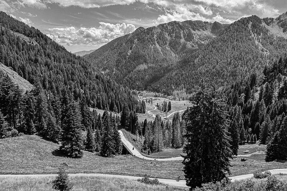 black and white image of cyclist climbing winding road on passo manghen with forested slopes on marmot tours guided road cycling holiday monte grappa