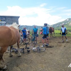Group of cyclists and wild horses at Col de Pailheres on full support cycling holiday in Pyrenees France with Marmot Tours