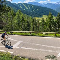 Cyclist enjoying sunny climb in the Alps on Raid Alpine with Marmot Tours road cycling holidays in Europe