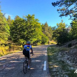 Cyclist climbing forested section of Mont Ventoux on Marmot Tours full support cycling challenge Mont Ventoux
