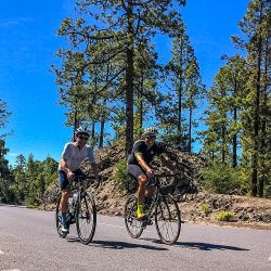Pair of cyclist ride through lush woodland beneath blue sky on fully supported road cycling tour of Tenerife with Marmot Tours