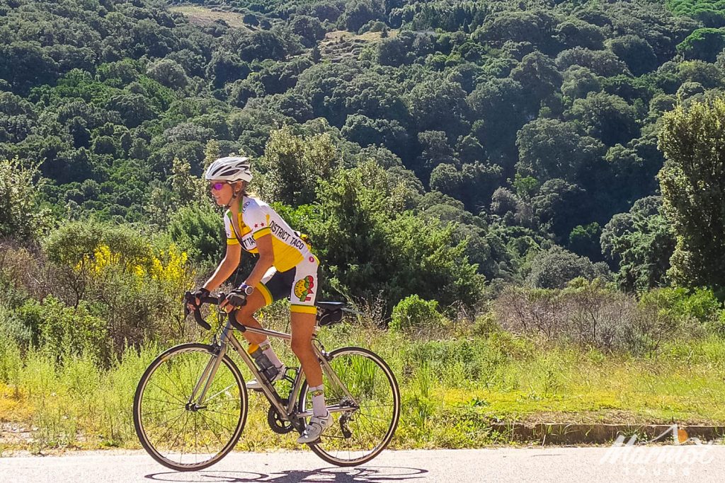 Female cyclist riding out of saddle on sunny day with forest backdrop on Marmot Tours guided cycling holiday in Sardinia