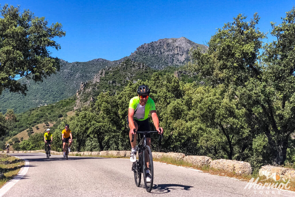 Cyclists climbing sunny road with mountain backdrop surrounded by trees on guided cycling tour of Andalusia with Marmot Tours