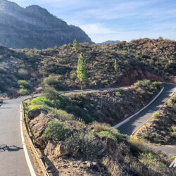 Cyclists descending switchbacks of Pico de las Nieves climb on full support road cycling tour Gran Canaria with Marmot Tours