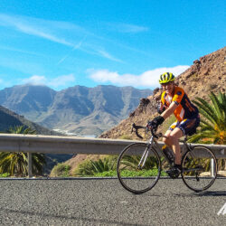 Cyclist enjoying sunny climb with palm trees backdrop on guided road cycling tour Gran Canaria with Marmot Tours