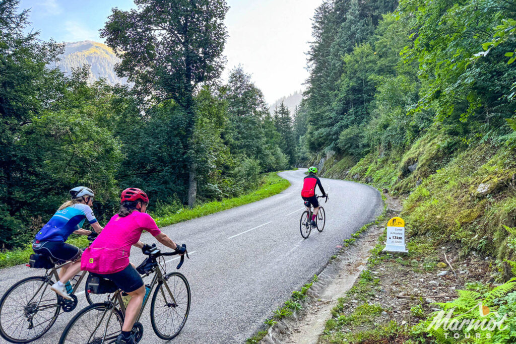 Group of cyclists climbing Cormet de Roselend through forest on Alps road cycling holiday with Marmot Tours