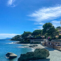 Sunny beach with taverna surrounded by trees at Pietranera on Marmot Tours road cycling holiday in Corsica