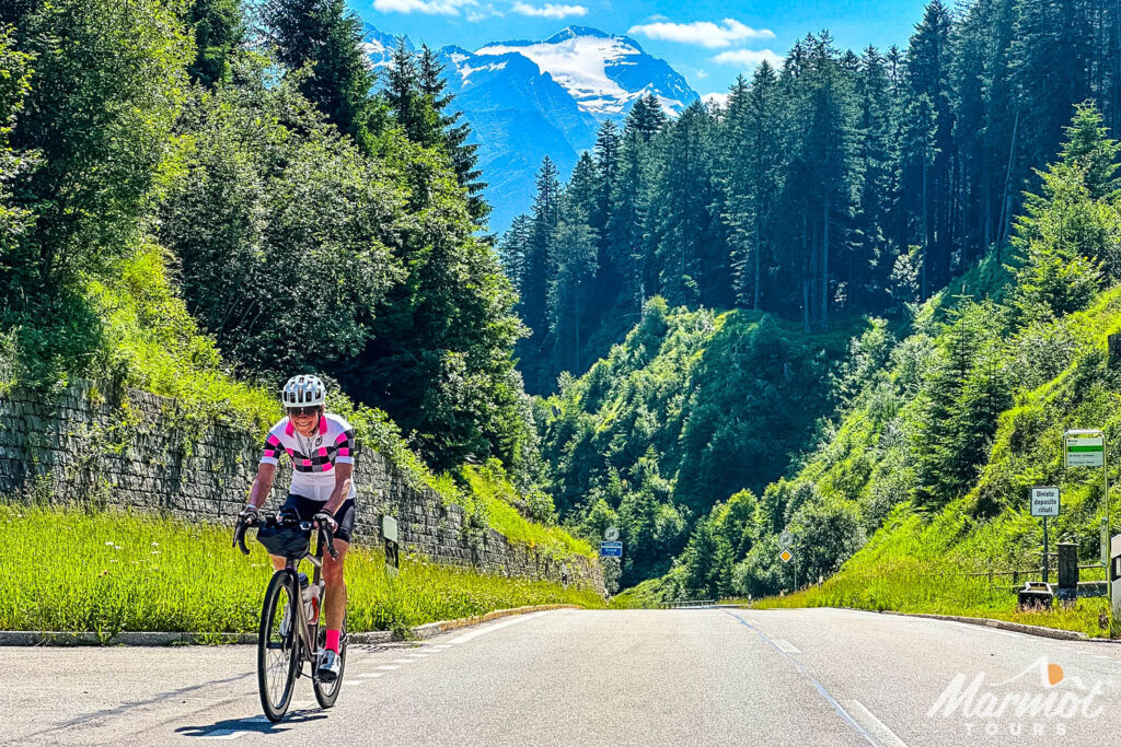 Cyclist climbing mountain pass with forest background on guided Swiss Alps cycling holiday with Marmot Tours