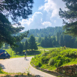Cyclist climbing Mortirolo surrounded by pine trees on Marmot Tours full support road cycling holiday