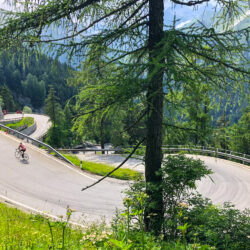Cyclist climbing Maloja Pass on Marmot Tours guided road cycling tour Italian Dolomites