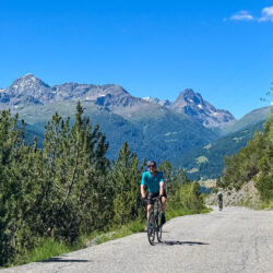 Cyclists climbing mountain pass with snowy mountains backdrop on Marmot Tours guided road cycling holiday Italian Dolomites