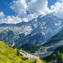 Cyclists climb mountain pass on Marmot Tours guided road cycling holiday Italian Dolomites Swiss Alps with snowy peaks background and grassy slopes