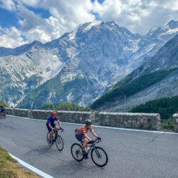 Group of cyclists climb Passo dello Stelvio on Marmot Tours guided road cycling holiday Italian Dolomites Swiss Alps with snowy peaks background