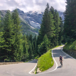 Cyclist descending on Passo dello Stelvio hairpin bend surrounded by pine trees on marmot Tours guided road cycling holiday Italian Dolomites Swiss Alps