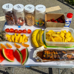 Table of fruit cake and snacks on Marmot Tours guided road cycling holiday Swiss Alps and Italian Dolomites