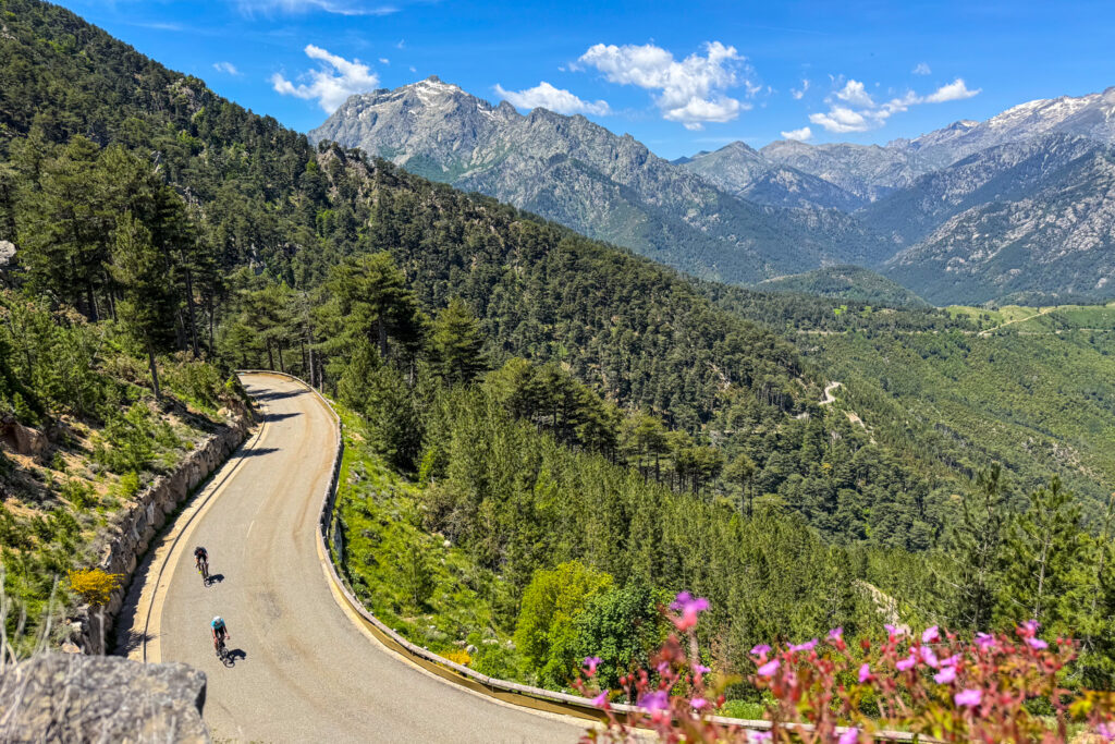 Pair of cyclists climbing surrounded by forested slopes and mountains on Slovenia cycling holiday with Marmot Tours