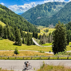 cyclist climbing passo manghen with forested slopes backdrop on marmot tours guided road cycling tour monte grappa dolomites