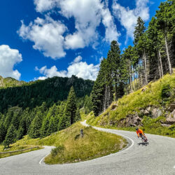 cyclist descending passo manghen on hairpin bend with with forested slopes backdrop on marmot tours guided road cycling tour monte grappa dolomites