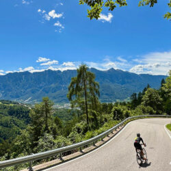 cyclist descending passo manghen with mountain ridge backdrop on marmot tours guided road cycling tour monte grappa dolomites